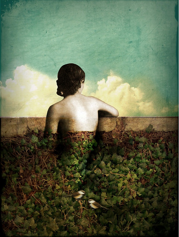 Catrin Welz-Steinʵ廭Ʒ(ͼ1)