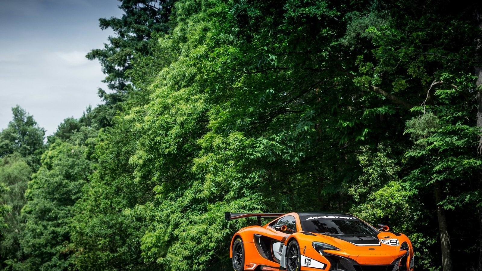 ܳ650S GT3ֽ(ͼ7)