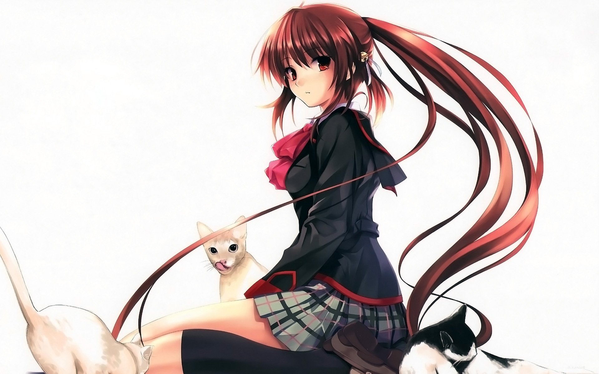 Little Busters! ͼֽ(ͼ6)