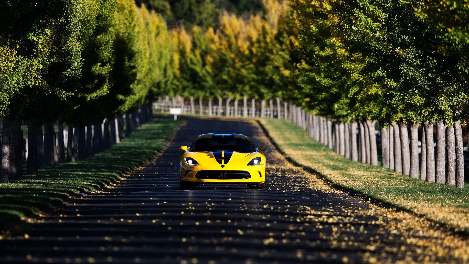 SRT Viper GTSܳ羰ֽ