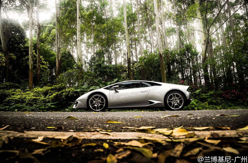 ȫhuracan LP580-2ʺͼƬ