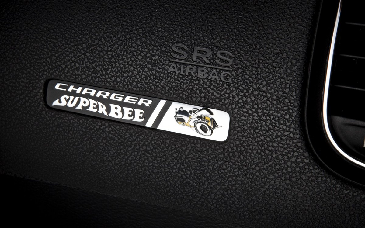  Charger SRT8 Super Bee ر泵(ͼ21)