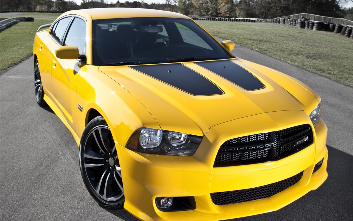  Charger SRT8 Super Bee ر泵(ͼ4)