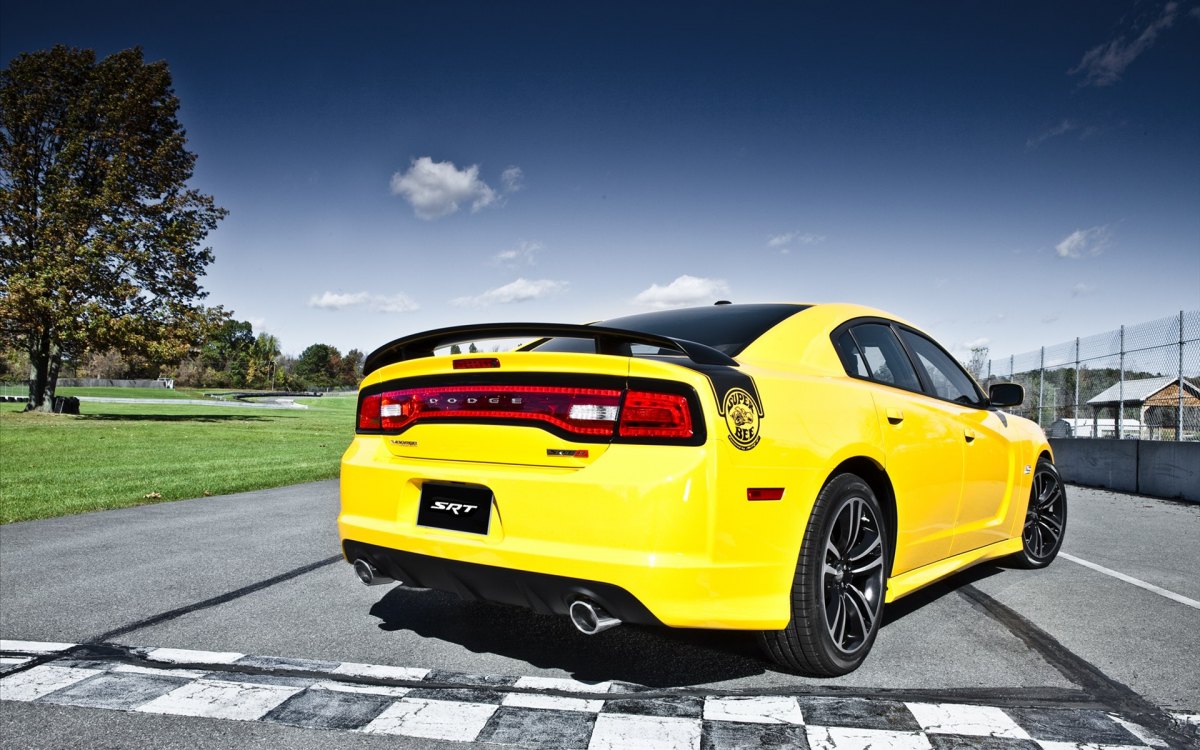  Charger SRT8 Super Bee ر泵(ͼ7)