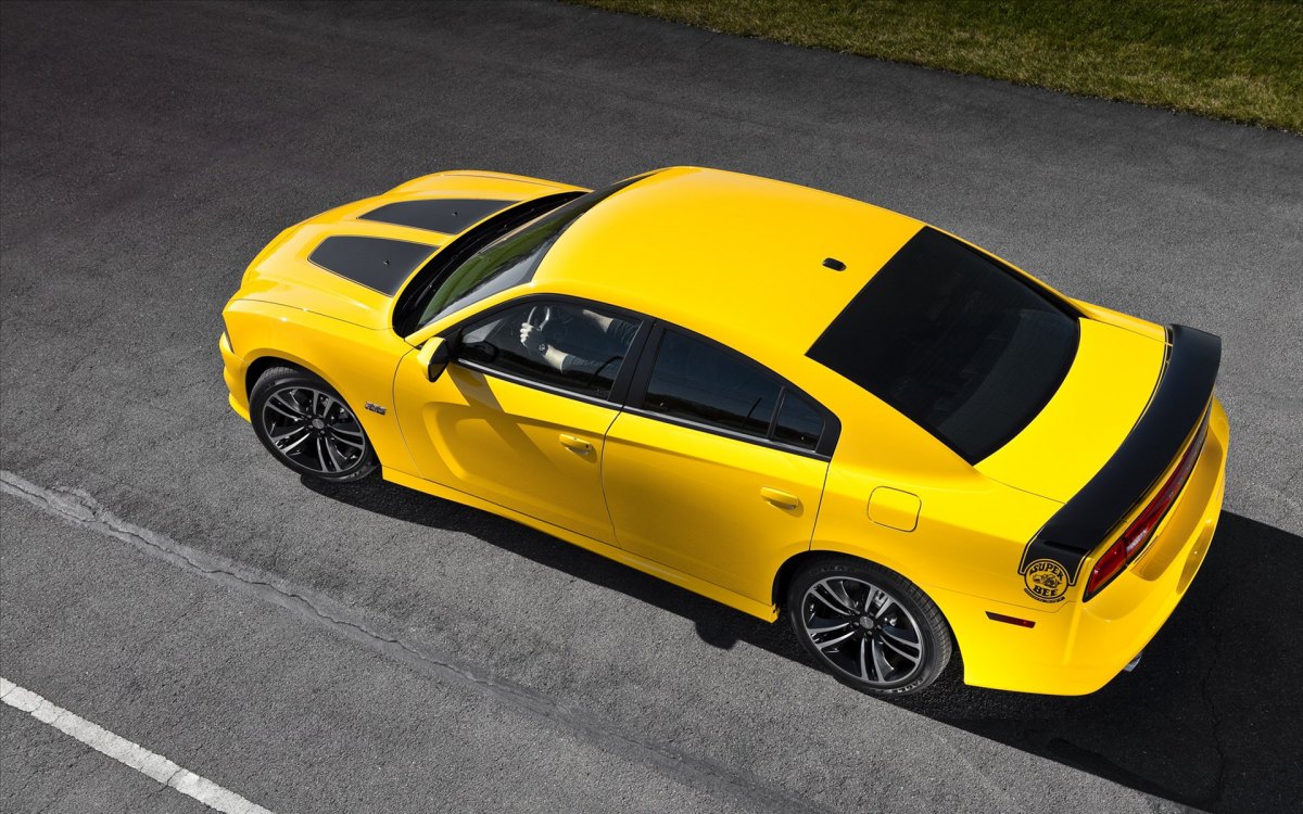  Charger SRT8 Super Bee ر泵(ͼ8)