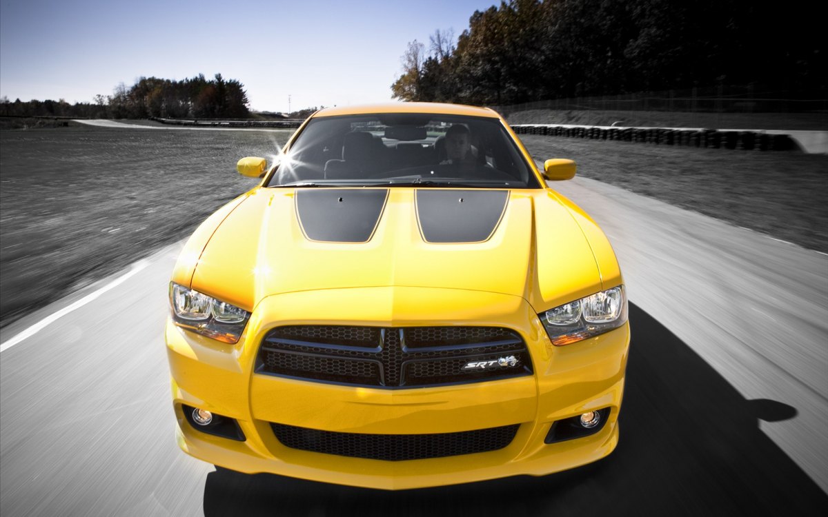  Charger SRT8 Super Bee ر泵(ͼ9)