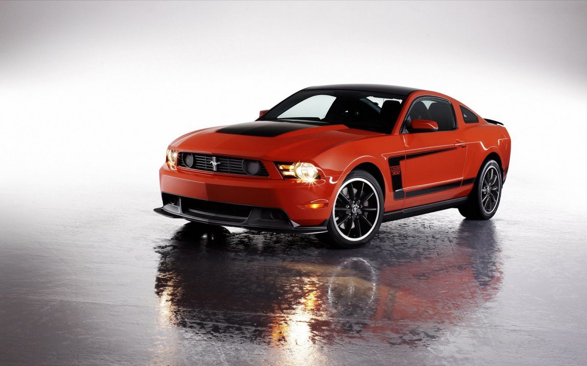 Ford Mustang BossҰ302 ֽ(ͼ9)
