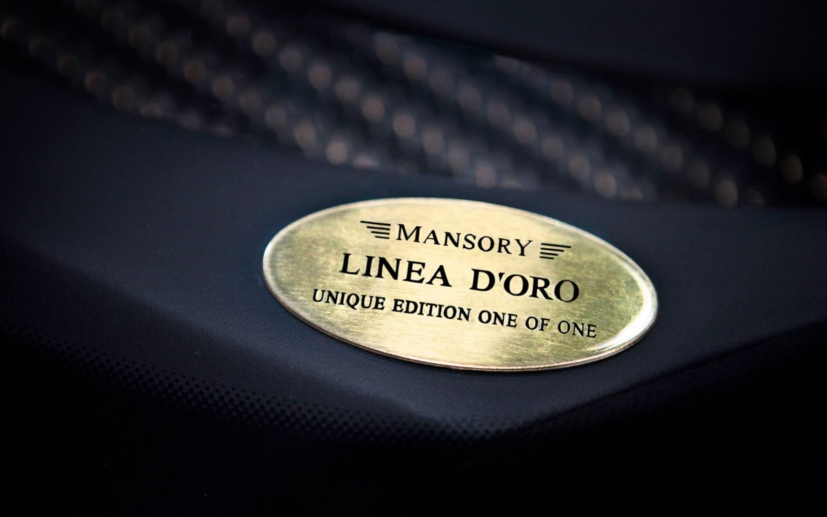 Mansory Bugatti Veyron(ӵ) Linea Vincero dOro(ͼ11)