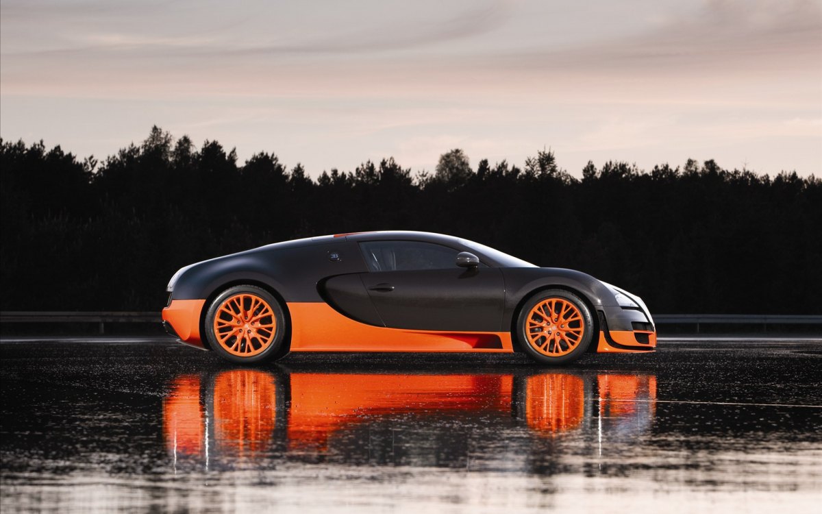 Bugatti Veyron(ӵ) 16.4 Super Sports Car(ͼ13)