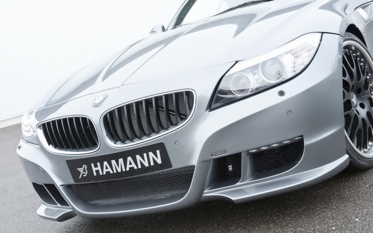 Hamann BMW Z4 E89ֽ(ͼ10)
