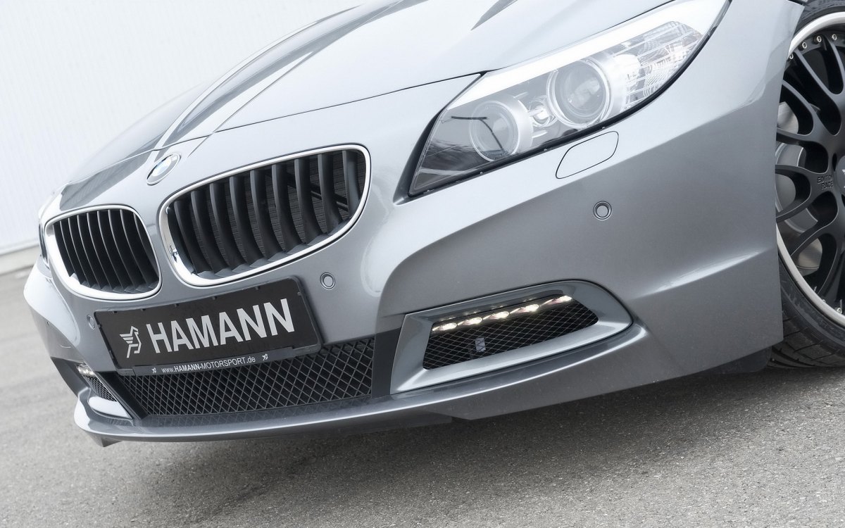 Hamann BMW Z4 E89ֽ(ͼ11)