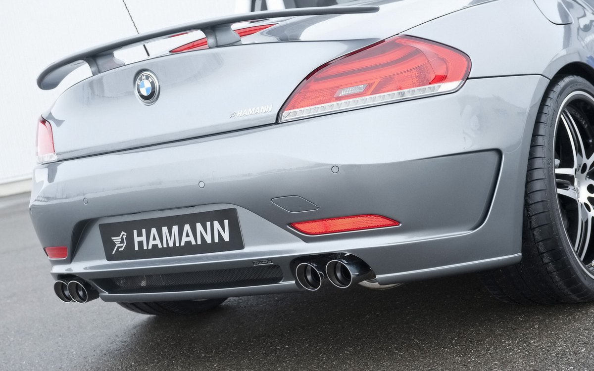 Hamann BMW Z4 E89ֽ(ͼ16)