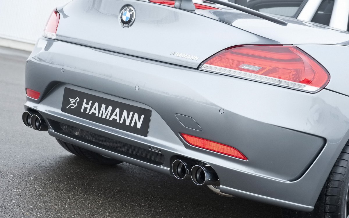 Hamann BMW Z4 E89ֽ(ͼ17)