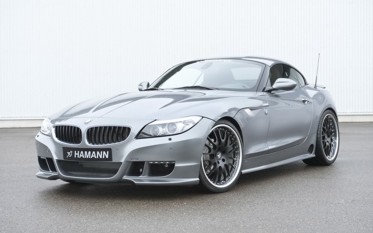 Hamann BMW Z4 E89ֽ(ͼ5)