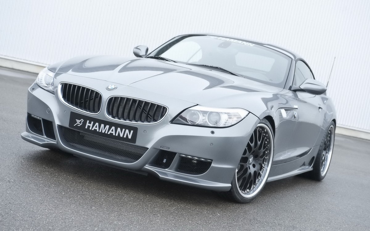 Hamann BMW Z4 E89ֽ(ͼ6)