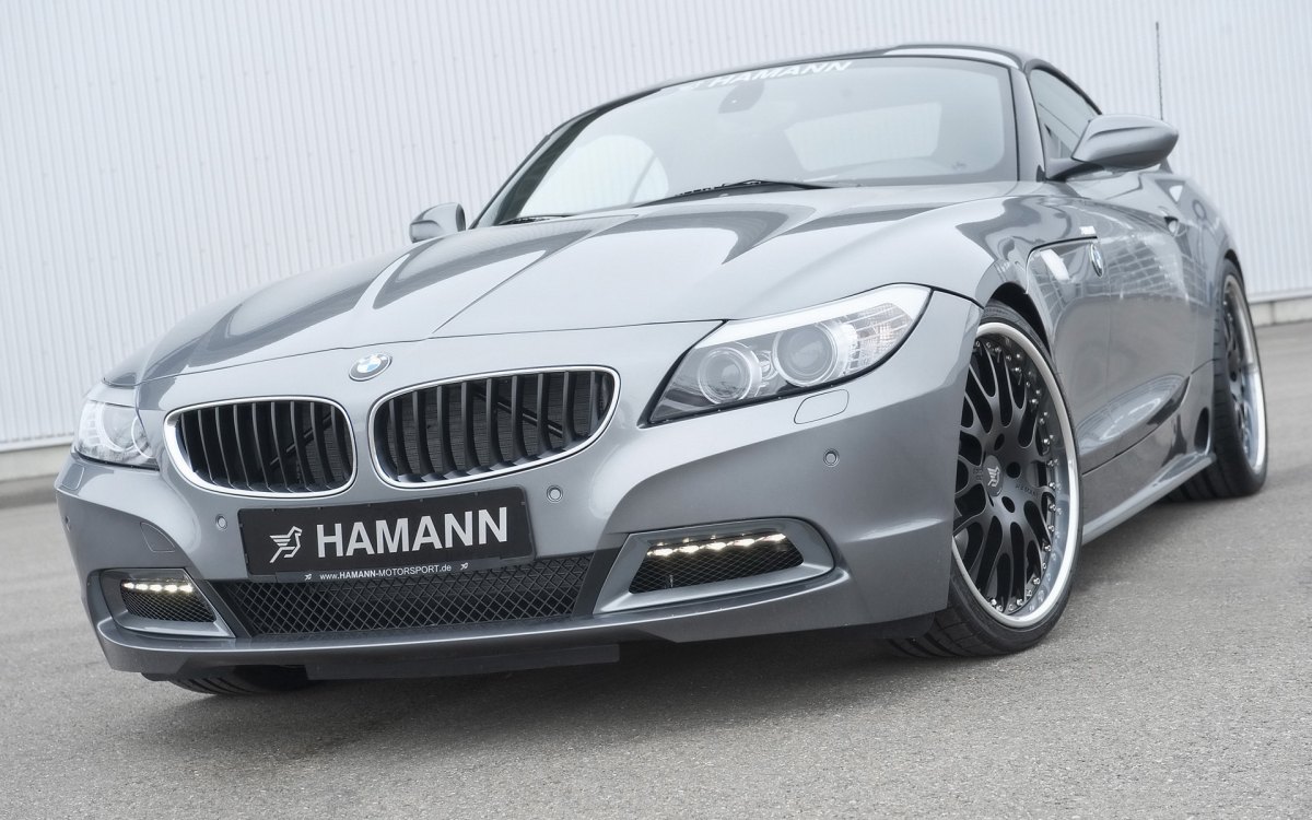 Hamann BMW Z4 E89ֽ(ͼ7)