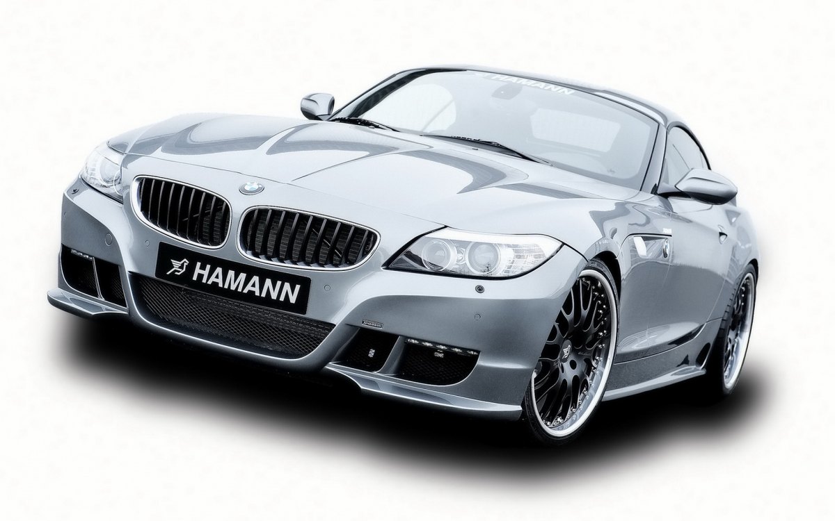Hamann BMW Z4 E89ֽ(ͼ8)