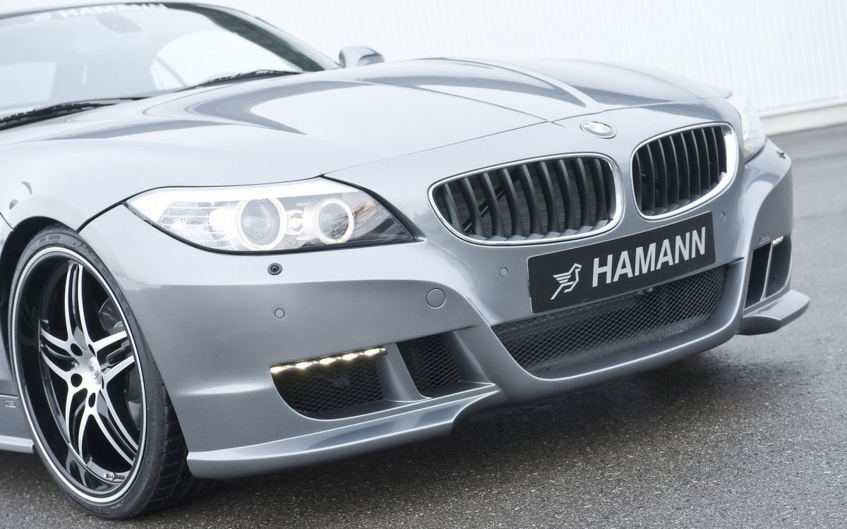 Hamann BMW Z4 E89ֽ(ͼ9)