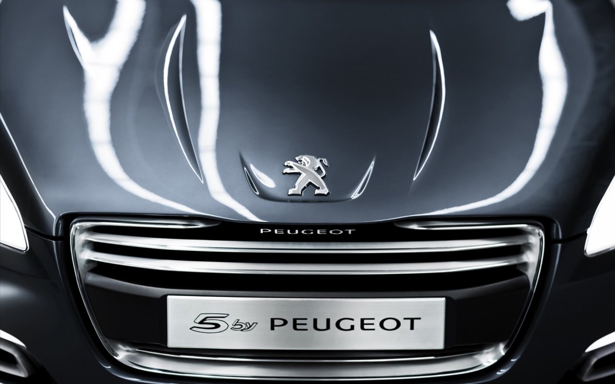 5 by Peugeot־ Concept Car(ͼ8)