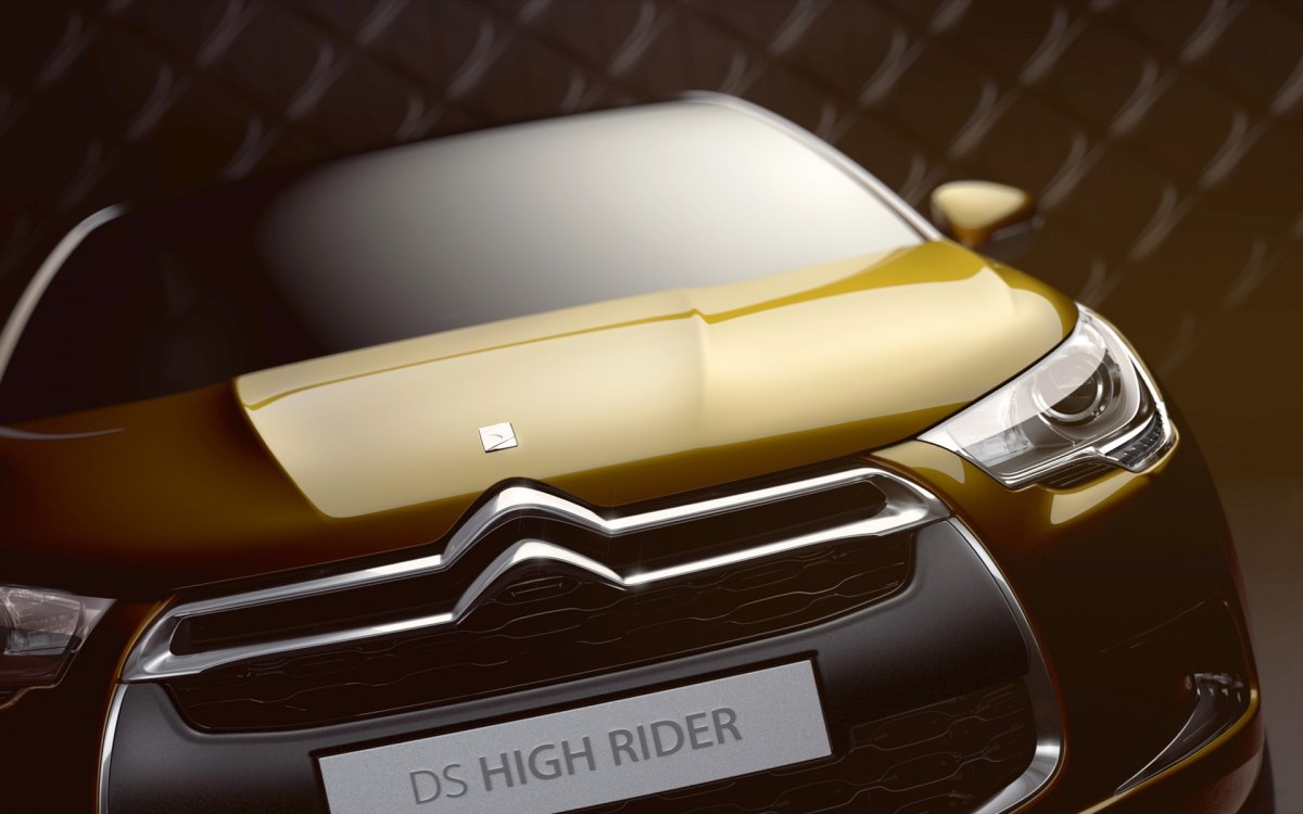 Citroenѩ DS High Rider Concept(ͼ3)
