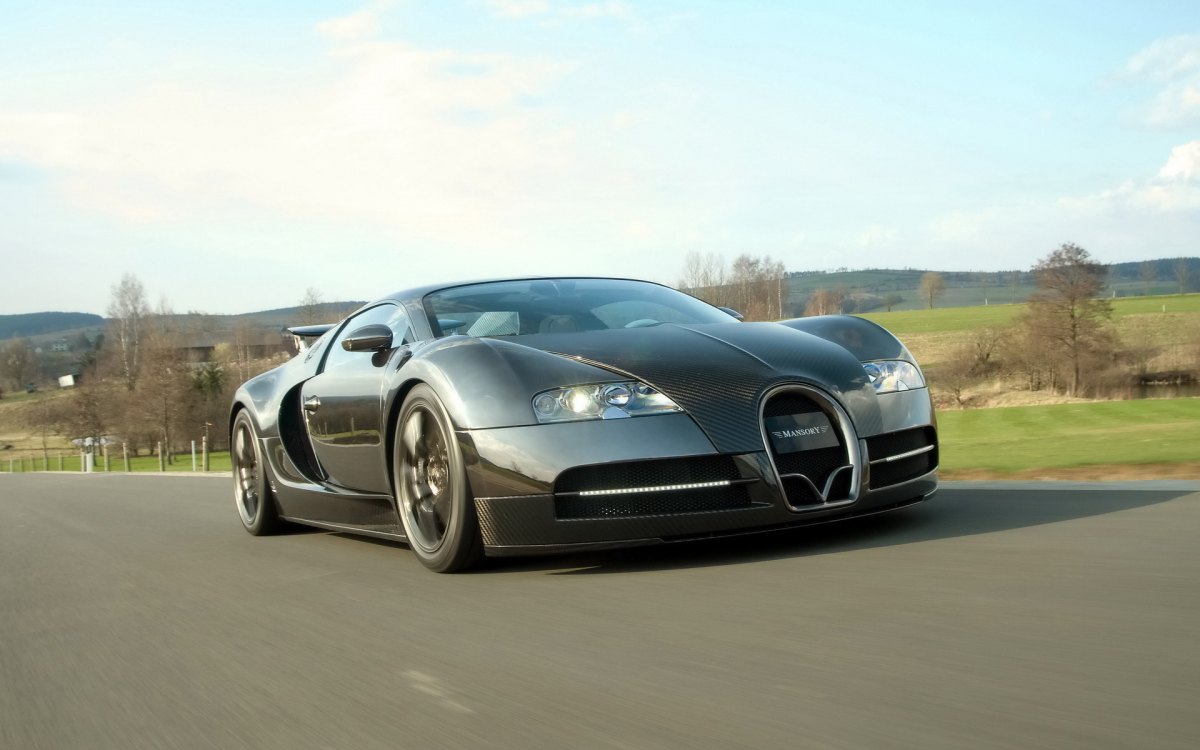 ȫ̼˰沼ӵMansory Bugatti Veyron Linea Vincero(ͼ10)