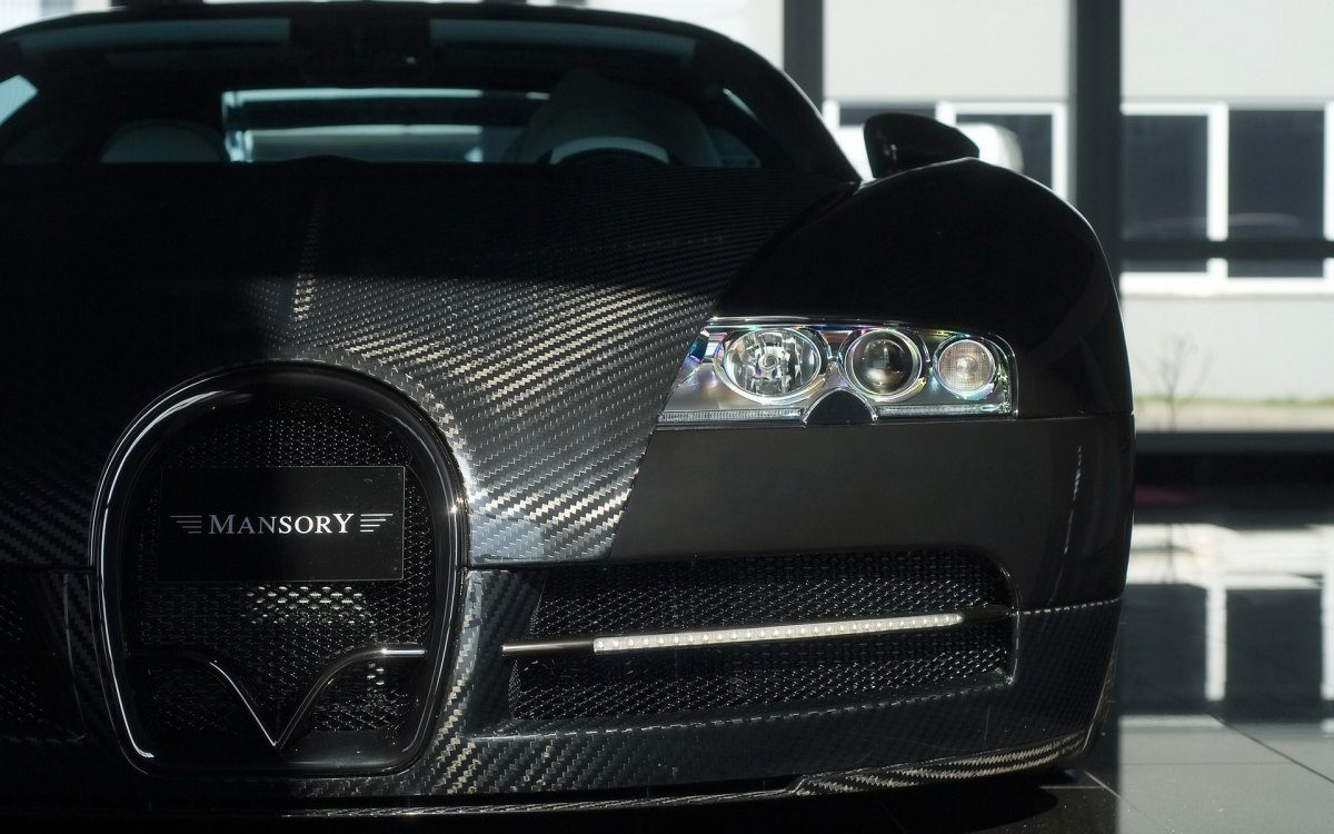 ȫ̼˰沼ӵMansory Bugatti Veyron Linea Vincero(ͼ13)