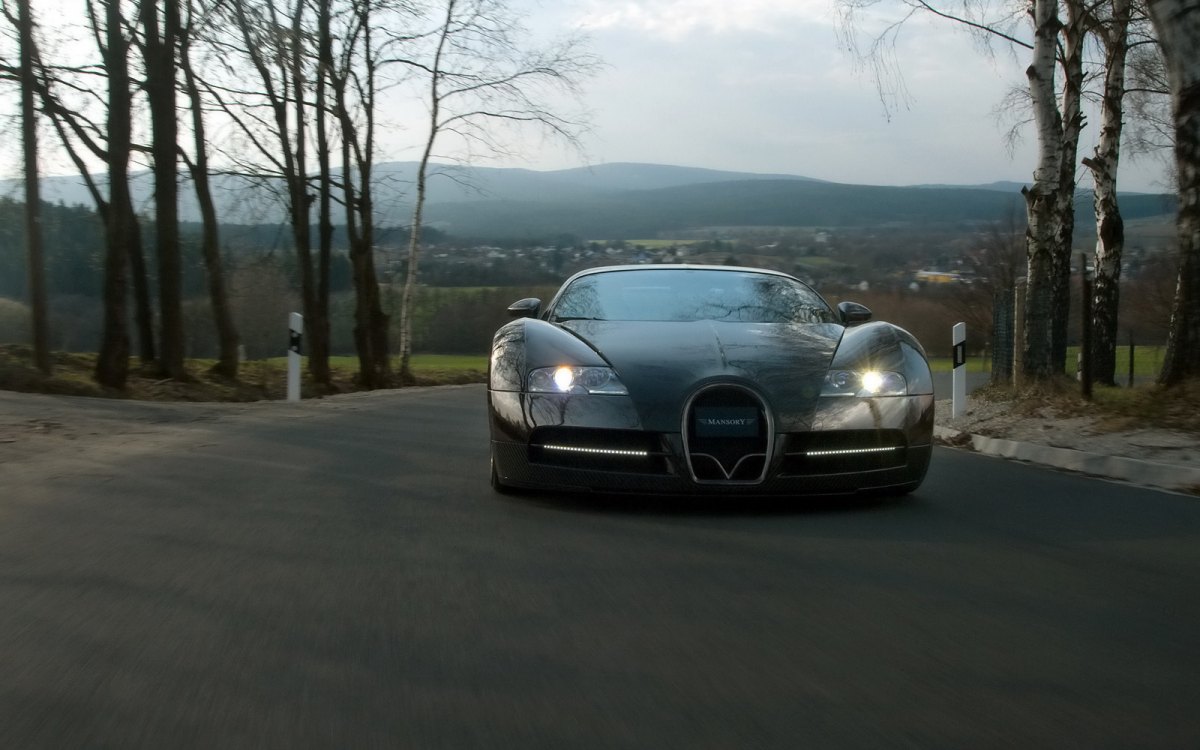 ȫ̼˰沼ӵMansory Bugatti Veyron Linea Vincero(ͼ14)