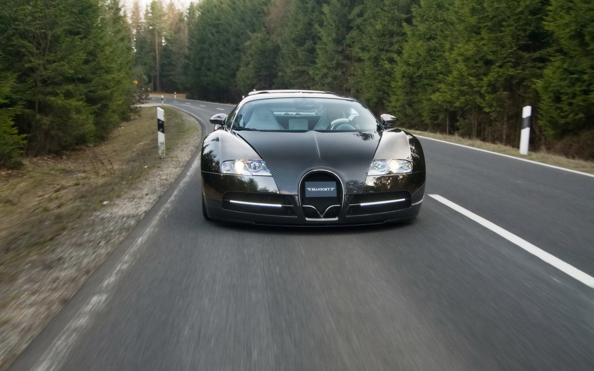 ȫ̼˰沼ӵMansory Bugatti Veyron Linea Vincero(ͼ15)
