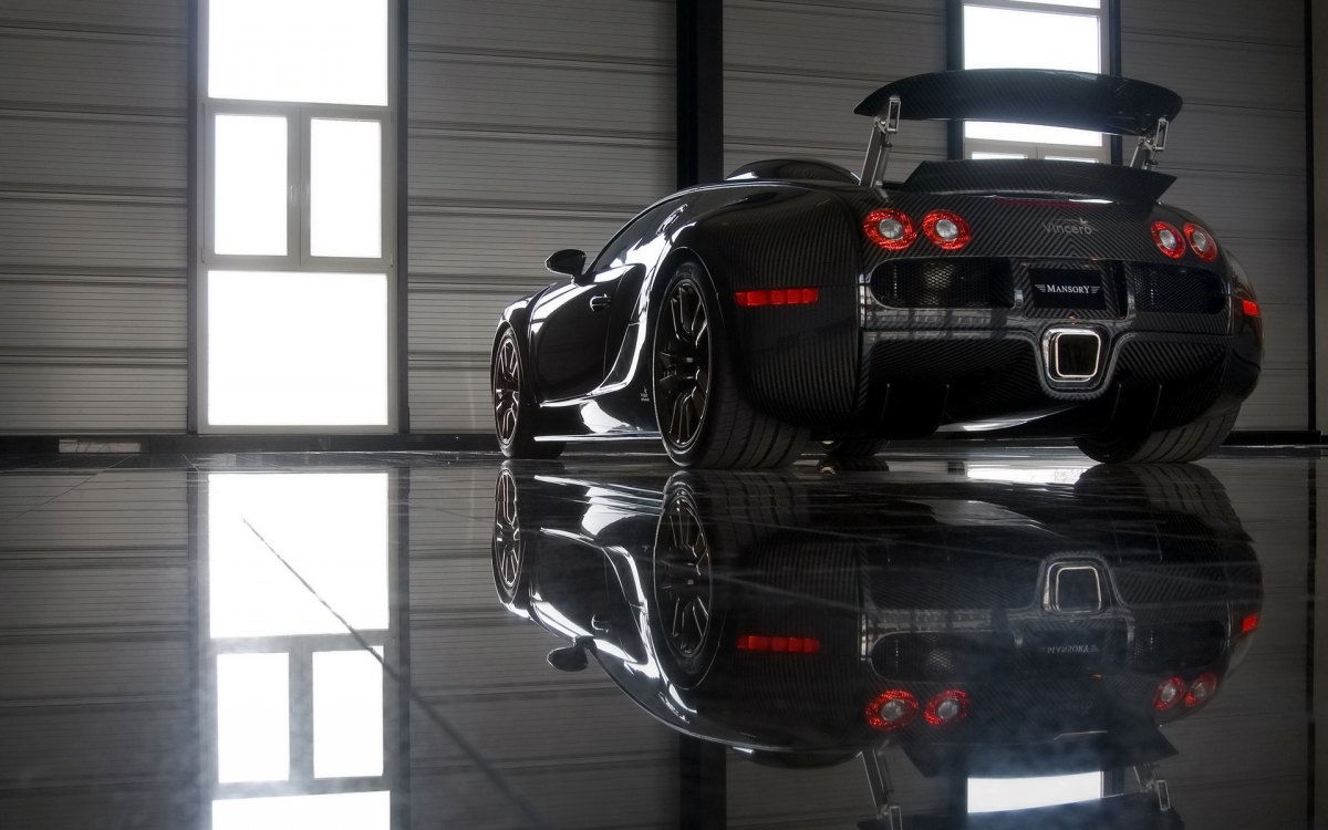 ȫ̼˰沼ӵMansory Bugatti Veyron Linea Vincero(ͼ18)