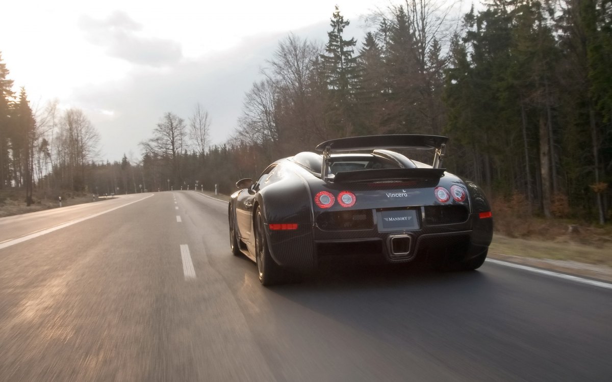 ȫ̼˰沼ӵMansory Bugatti Veyron Linea Vincero(ͼ20)