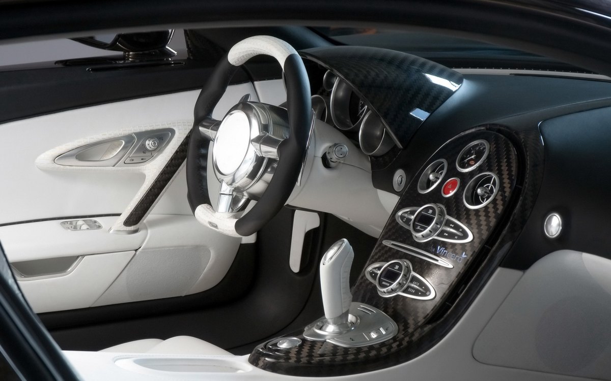 ȫ̼˰沼ӵMansory Bugatti Veyron Linea Vincero(ͼ4)