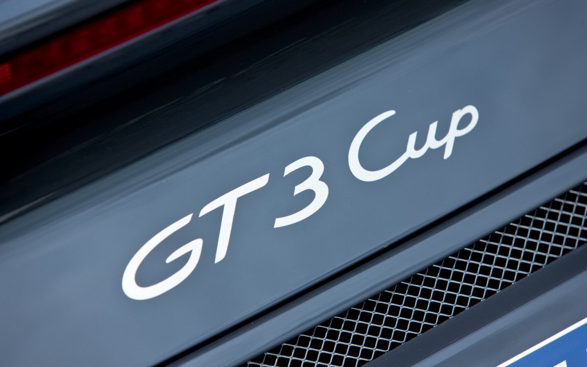 Porsche 911 GT3 Cupʱݣֽ(ͼ11)