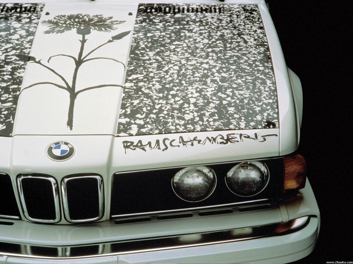 BMW-ArtCarsܳͼƬֽ(ͼ9)