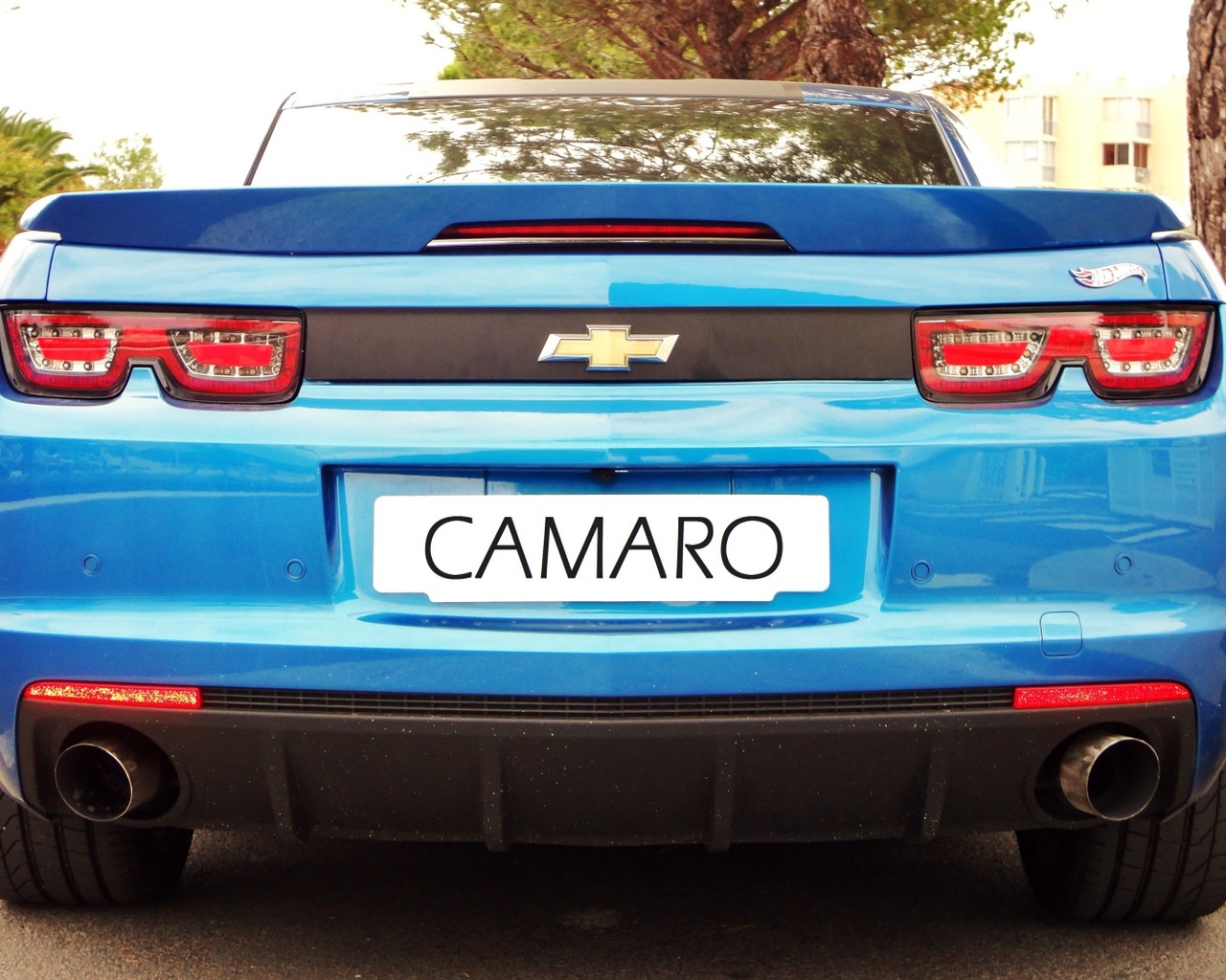 ѩCamaro޸ֽ