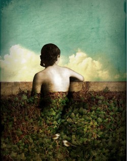 Catrin Welz-Steinʵ廭Ʒ