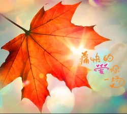 红枫飘落唯美秋季图片
