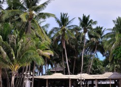 菲律宾长滩岛椰林风情