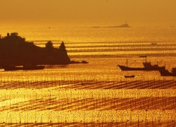 霞浦东壁夕阳下的海滩图片