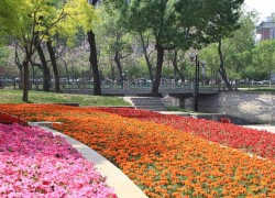 天津公园风景图片摄影作品