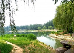 庄重华贵的秀水公园自然风景摄影