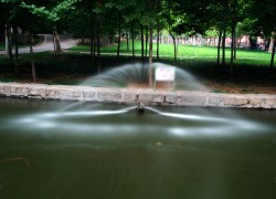 公园里的喷泉喷出水就像孔雀开屏一样风景特写